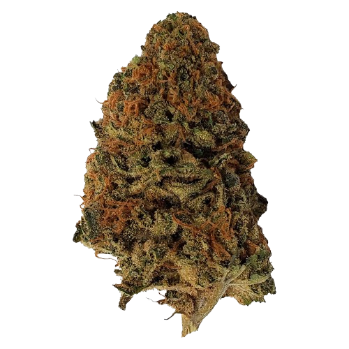 Kush Dreams