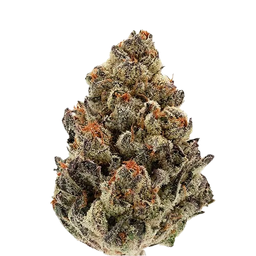 Purple Poison
